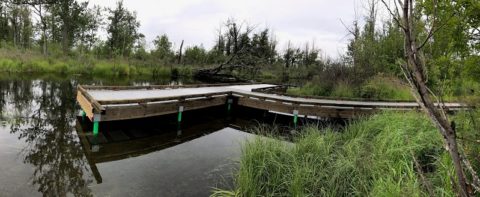 Palmer Hay Flats Access Improvements Include Boat Dock and Fishing